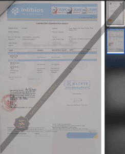 pemeriksaan medis apostille indonesia